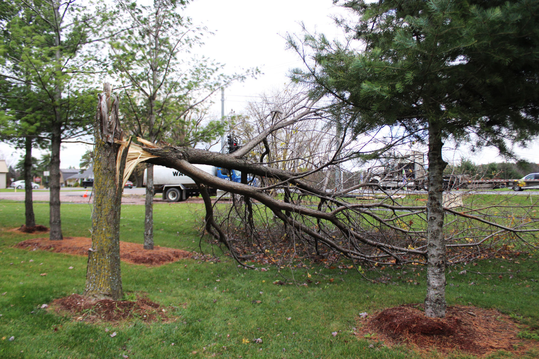 Storm-img